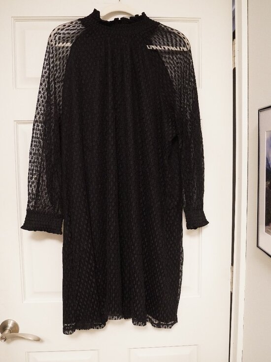 Nina Leonard Dresses & Skirts - Nina Leonard Black Sheer Textured Dot Mock Neck Dress 3X